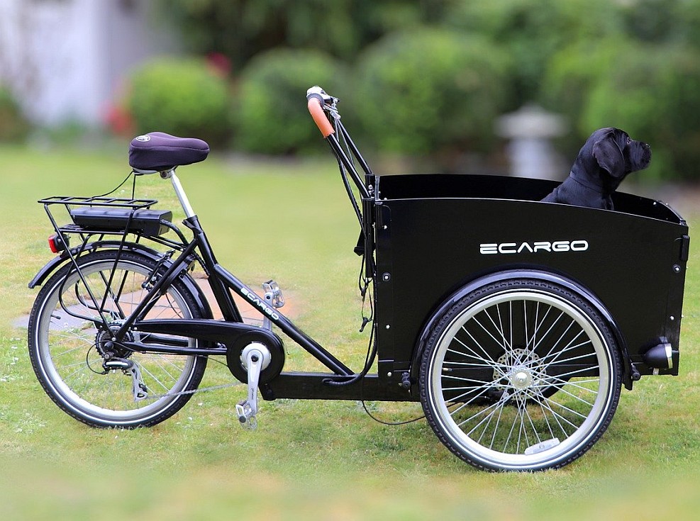 trehjuling elcykel
